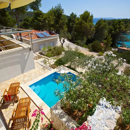 With Garden And Private Pool - Alexandria Villa