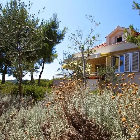 With Garden And Private Pool - Alexandria